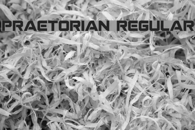 Praetorian Regular Font examples