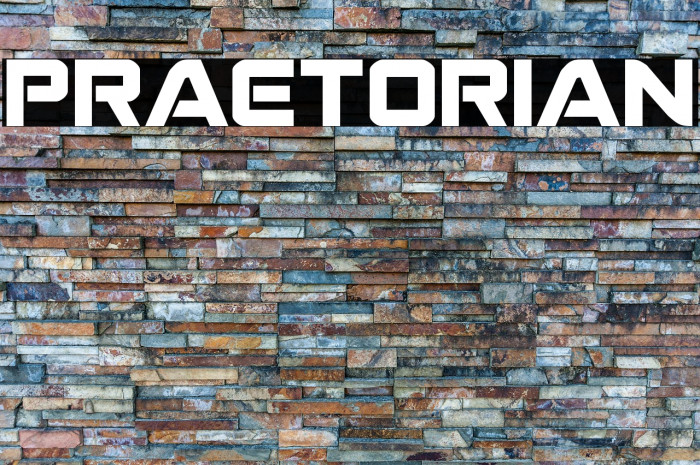 Praetorian Example 1