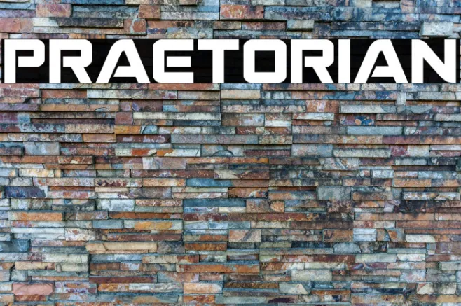 Praetorian Example 1
