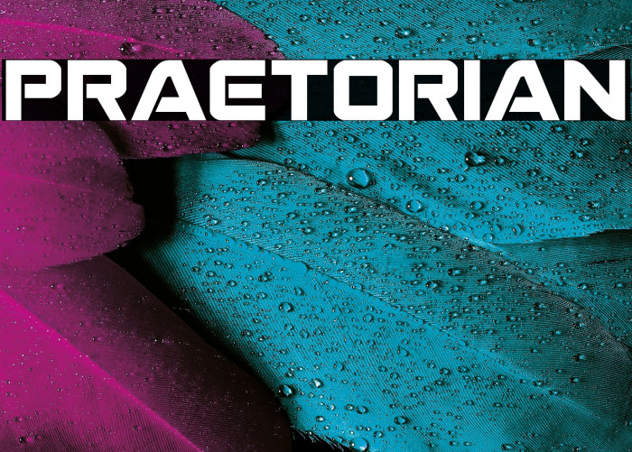 Praetorian Example 2