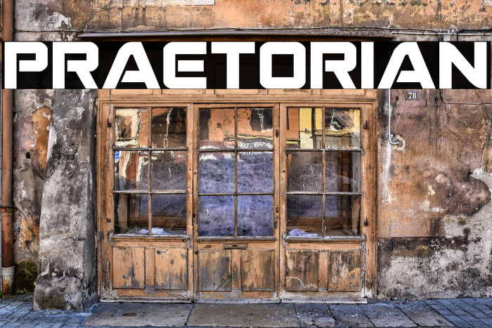 Praetorian Example 3