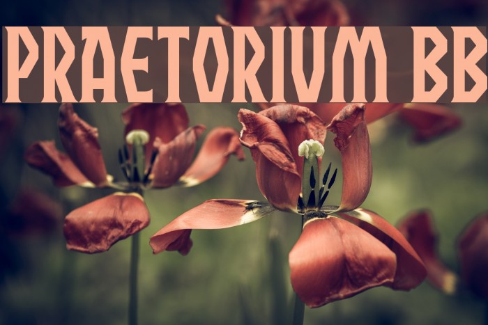 Praetorium BB Font examples