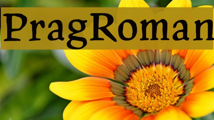 PragRoman Font examples