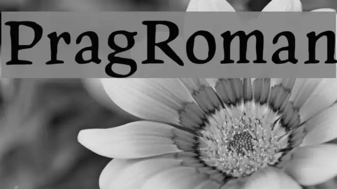 PragRoman フォント examples