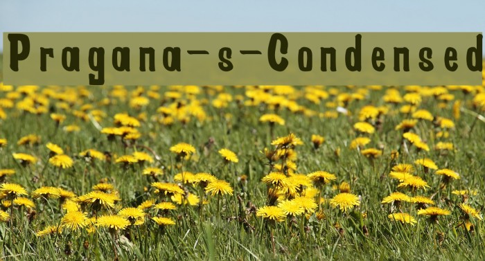 Pragana-s-Condensed Font examples