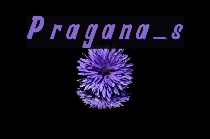 Pragana-s Font examples