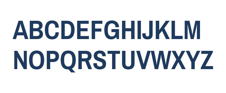 Pragati Narrow Bold1 Uppercase