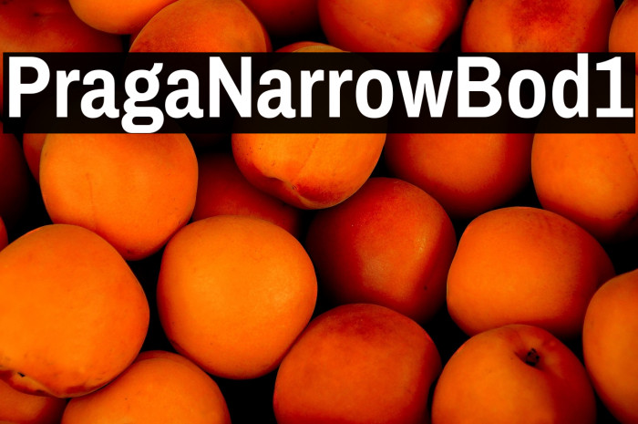 Pragati Narrow Bold1 Example 1