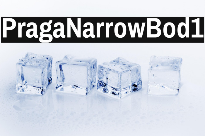 Pragati Narrow Bold1 Example 3