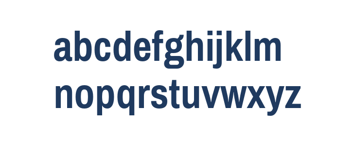 Pragati Narrow Bold1 Lowercase