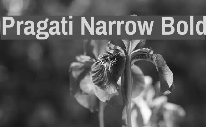Pragati Narrow Bold Font examples