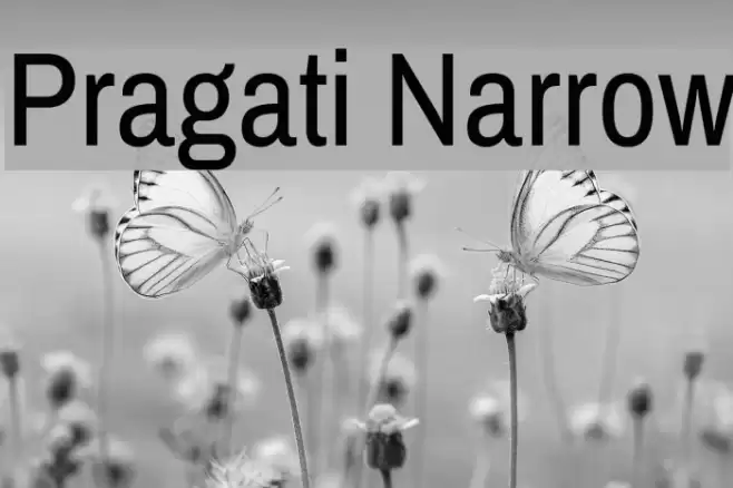 Pragati Narrow Font examples