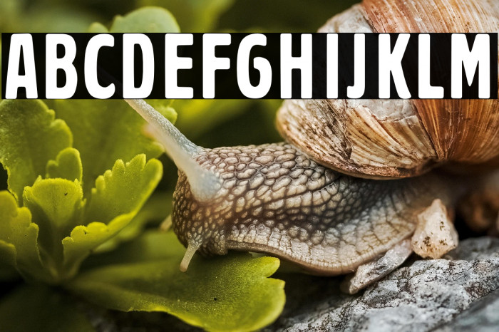 PragerHeadlines Example 1