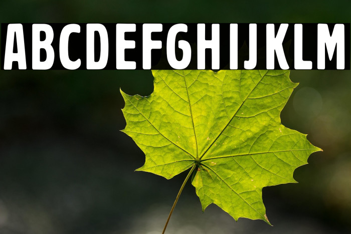 PragerHeadlines Example 3