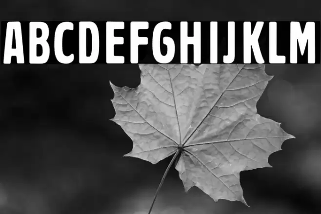 PragerHeadlines Font examples