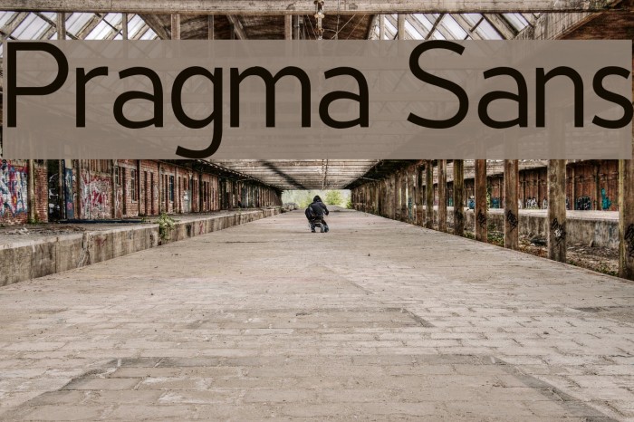 Pragma Sans Font examples
