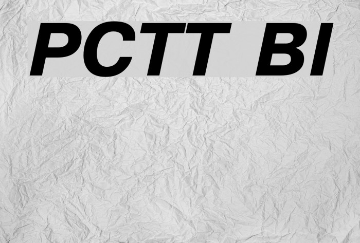 PragmaticaCTT BoldItalic Font examples