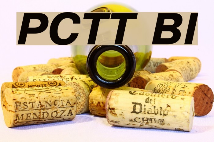 PragmaticaCTT BoldItalic Font examples