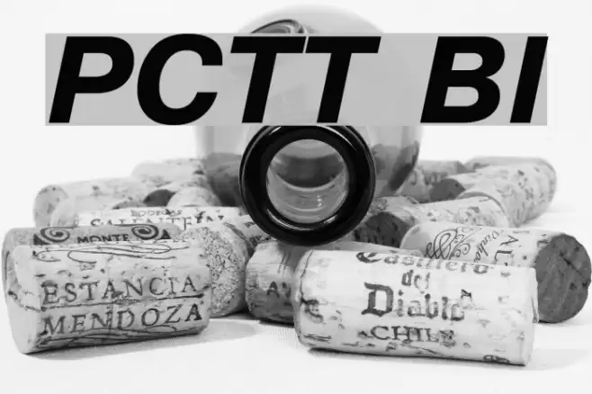 PragmaticaCTT BoldItalic examples