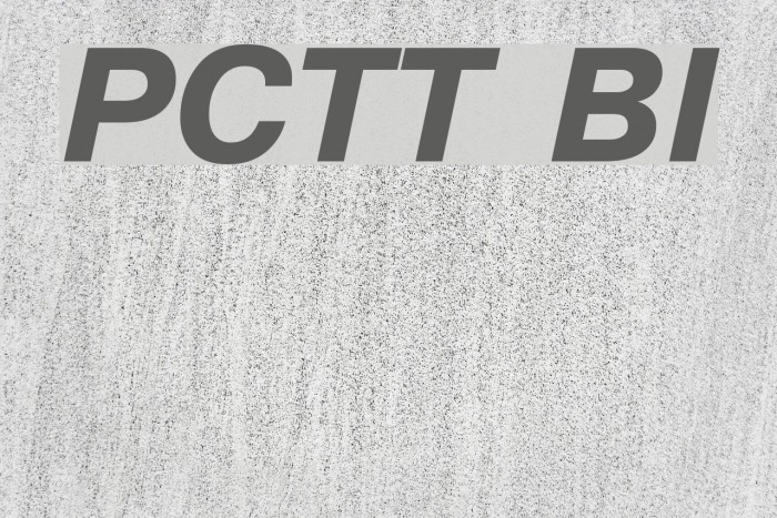 PragmaticaCTT BoldItalic Font examples