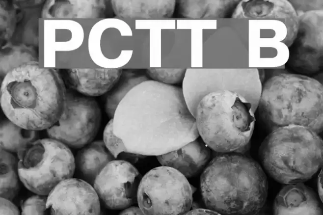 PragmaticaCTT Bold Font examples