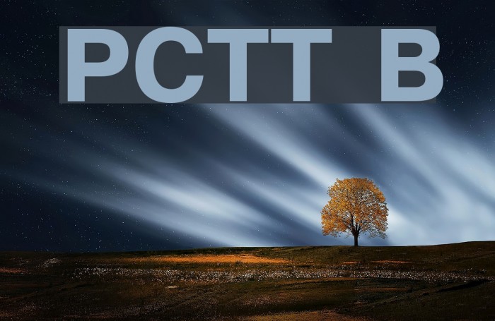PragmaticaCTT Bold Font examples