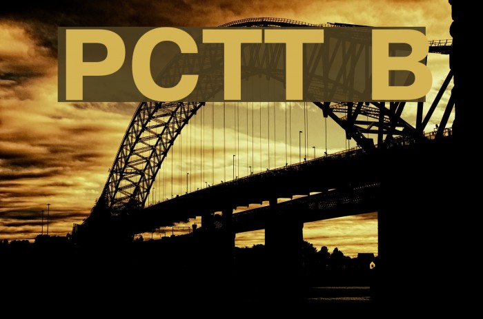 PragmaticaCTT Bold Font examples