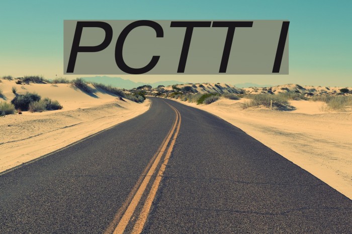 PragmaticaCTT Italic Font examples