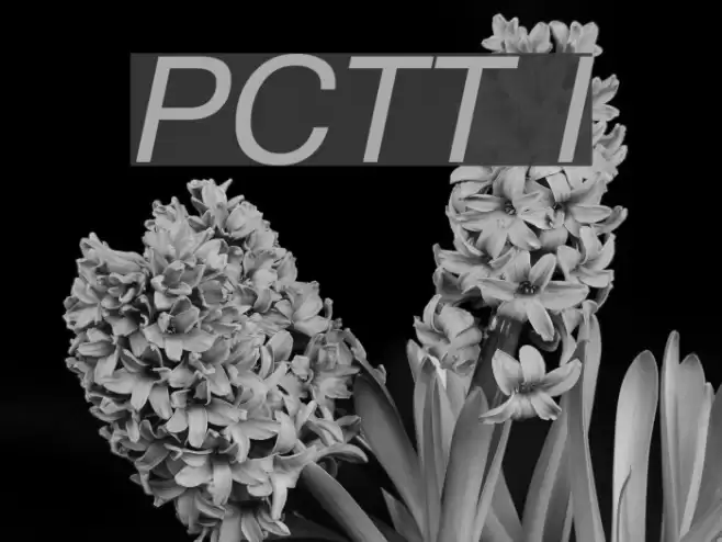 PragmaticaCTT Italic Font examples