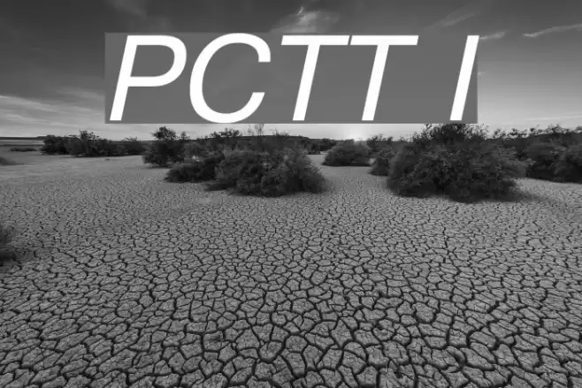 PragmaticaCTT Italic Font examples