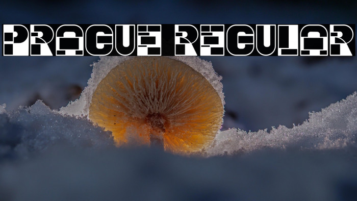 Prague Regular Example 1