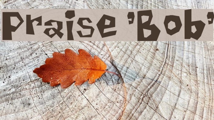 Praise 'Bob' Font examples