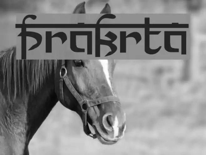 Prakrta Font examples