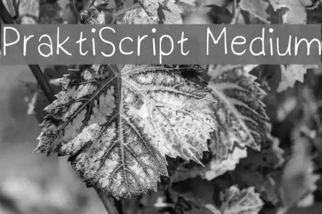 PraktiScript Medium Polices examples