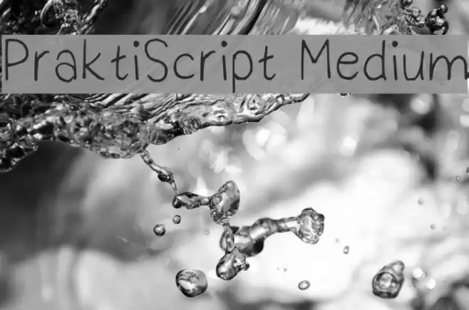 PraktiScript Medium Polices examples
