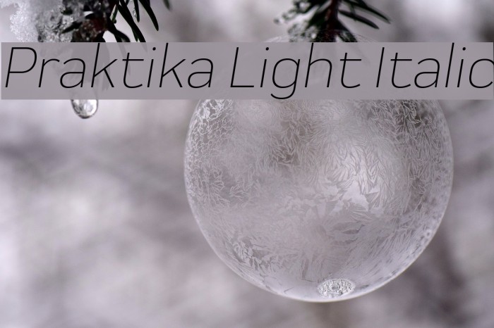 Praktika Light Italic Font examples