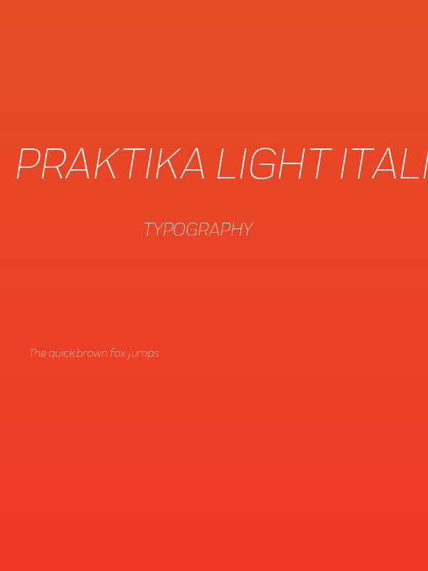 Praktika Light Italic Poster