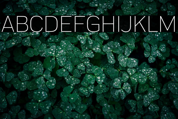 Praktika Light Example 3