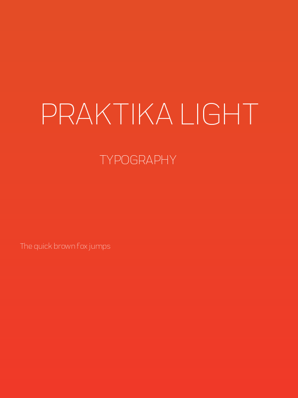 Praktika Light Poster