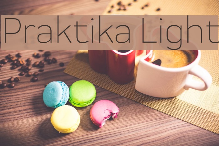 Praktika Light 字体 examples