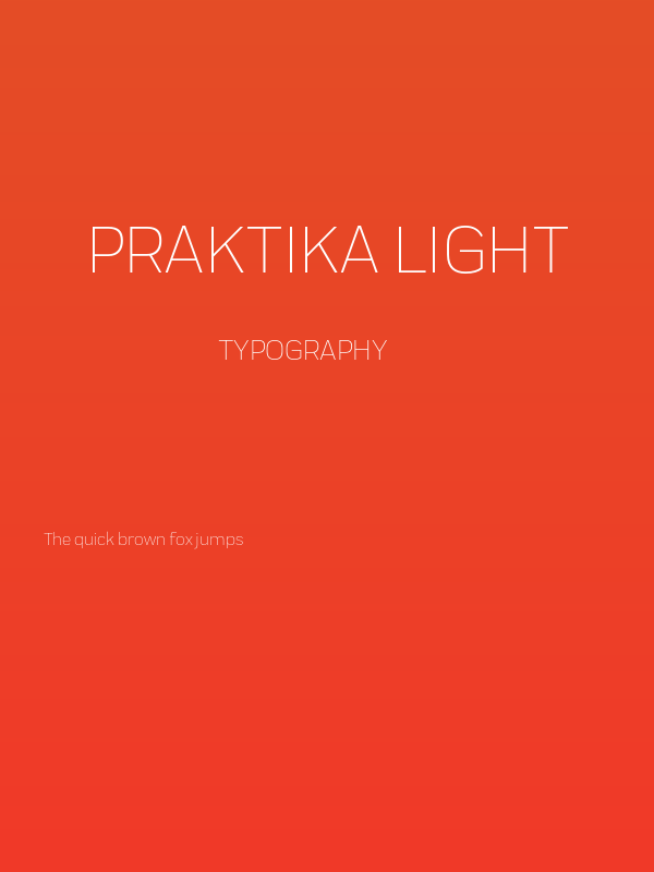 Praktika Light Poster