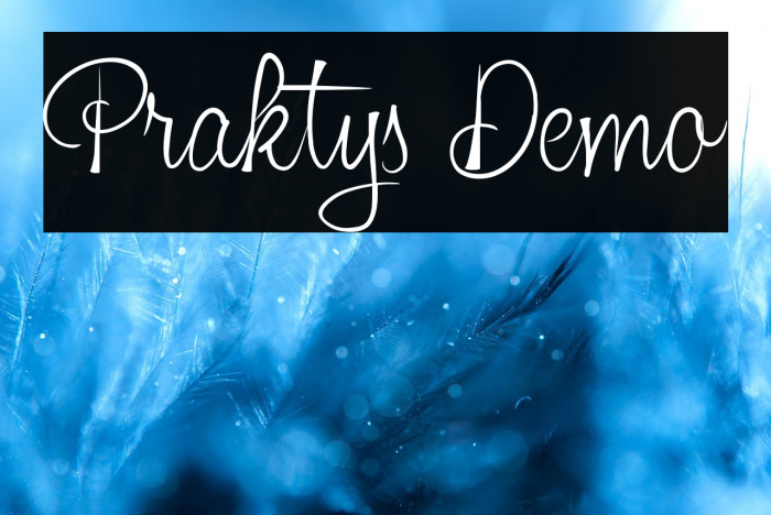 Praktys Demo Example 1