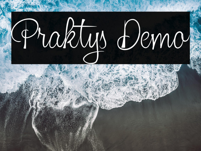 Praktys Demo Example 2