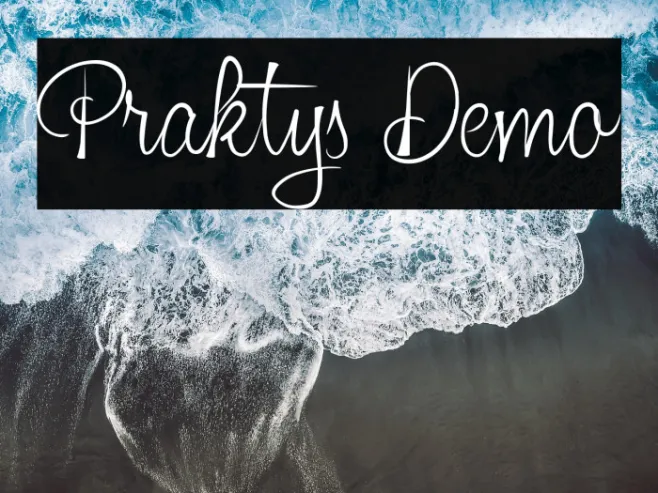 Praktys Demo Example 2