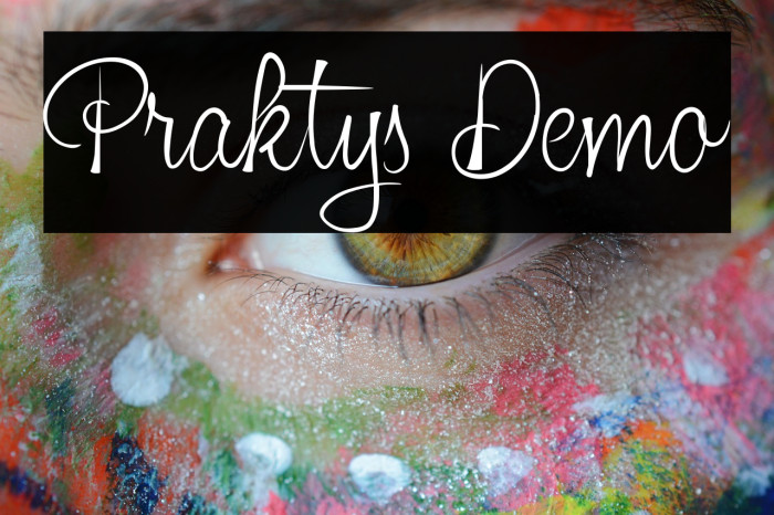 Praktys Demo Example 3