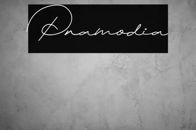 Pramodia Font examples