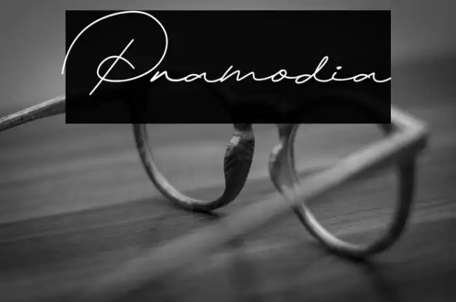 Pramodia Font examples