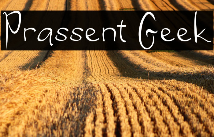 Prassent Geek Example 1