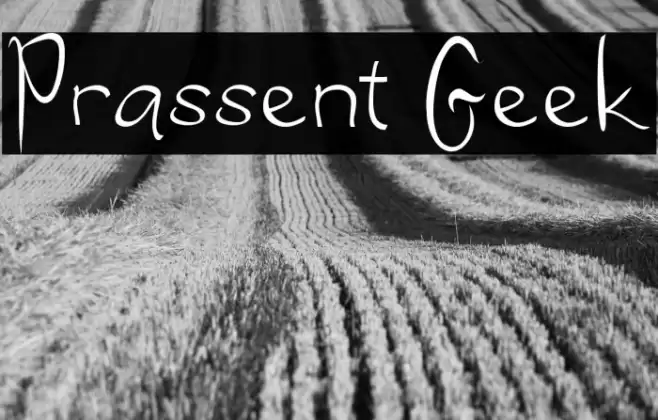 Prassent Geek Font examples