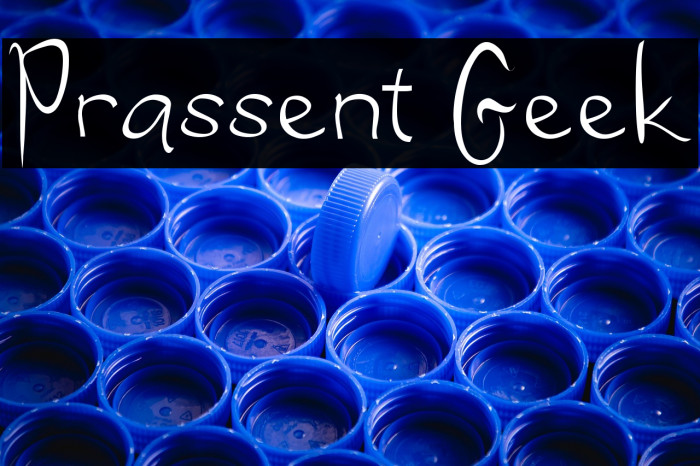 Prassent Geek Example 2